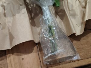 お花のサブスク定期便を比較してみた「Hitohana」の配達保水状態